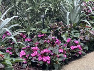 Longwood Gardens