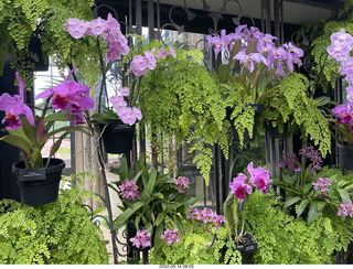 Longwood Gardens