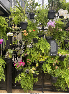 Longwood Gardens