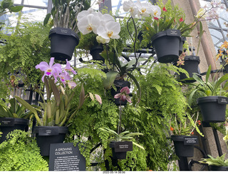 Longwood Gardens