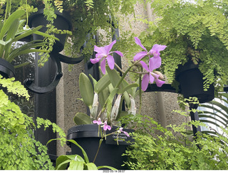 Longwood Gardens