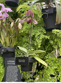 Longwood Gardens