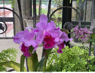 Longwood Gardens
