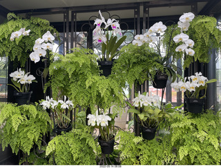 Longwood Gardens
