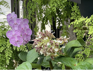 Longwood Gardens