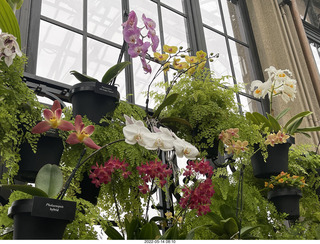 Longwood Gardens