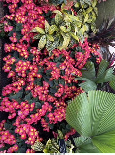 Longwood Gardens
