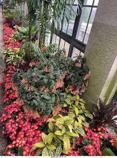 Longwood Gardens