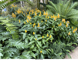 Longwood Gardens