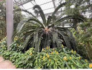 Longwood Gardens