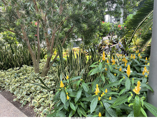 Longwood Gardens