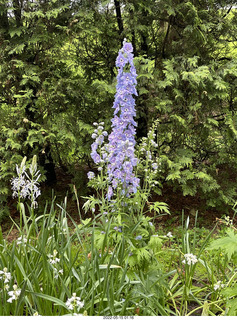 Longwood Gardens