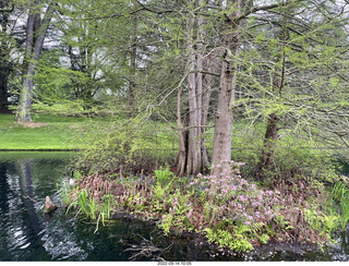 Longwood Gardens