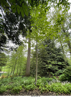 Longwood Gardens
