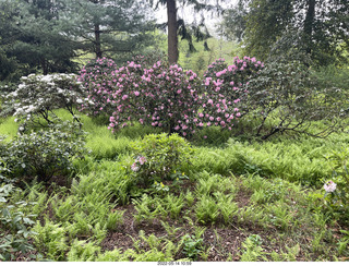 Longwood Gardens
