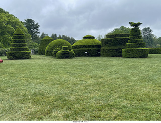 Longwood Gardens topiary