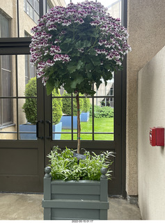 Longwood Gardens
