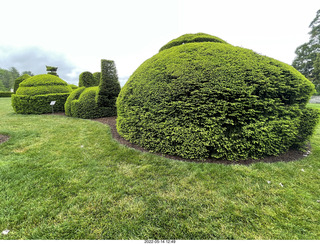 Longwood Gardens topiary sign