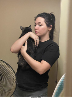 cat Miss Pris in my bathroom sink