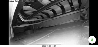 Miss Pris under the couch