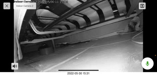 Miss Pris under my hifi-room sofa