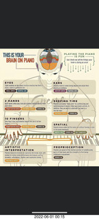 Alan Travis - old car collection - pictures