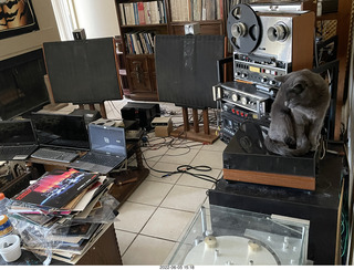 cat Jane in my hifi room