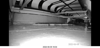 Miss Pris under my sofa