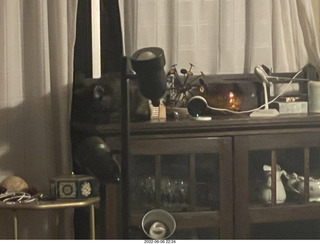 Miss Pris under my sofa