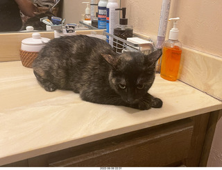 Miss Pris in the middle bathroom