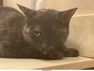 Miss Pris in the middle bathroom