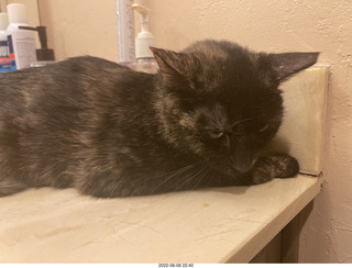 Miss Pris in the middle bathroom