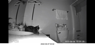 Miss Pris in the middle bathroom