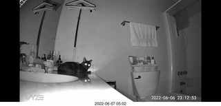 Miss Pris in the middle bathroom