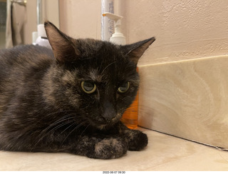 Miss Pris in the middle bathroom