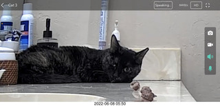 Miss Pris in the middle bathroom