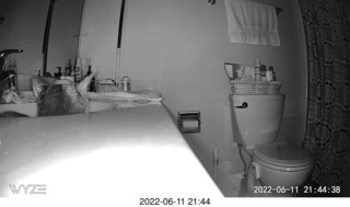 my cat Miss Pris in her safe space