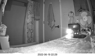 my cat Miss Pris in the dark