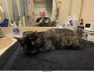 my cat Miss Pris in the dark