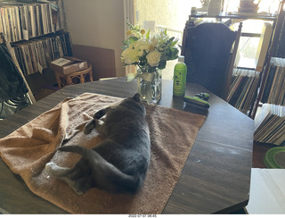 my hifi and my cat Jane from above