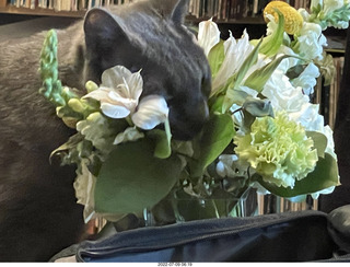 my cat Jane eating floral arrangement