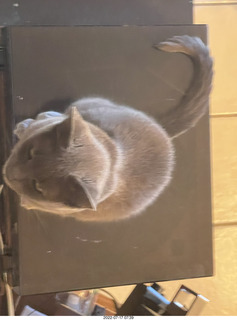 my cat Jane eating floral arrangement