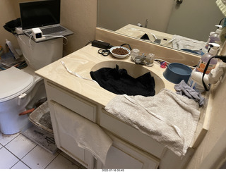 my cat Miss Pris in the sink