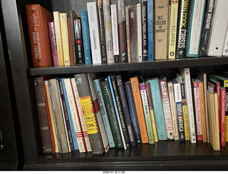 my new library bookshelves