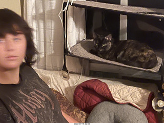 my cat Miss Pris on my reel tapes