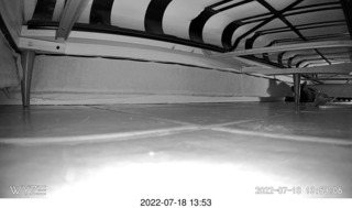 my hifi room from above on the stairs with my cat Miss Pris