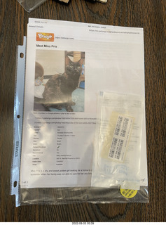 Halo Cat Rescue paperwork for my cat Miss Pris