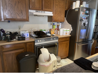 Halo Cat Rescue paperwork for my cat Miss Pris