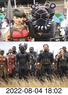 Facebook - panther costume