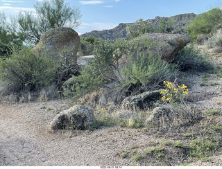 Marcus Landslide Trail rocks